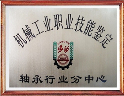 軸承行業(yè)技能培訓(xùn) 軸承行業(yè)技能培訓(xùn)